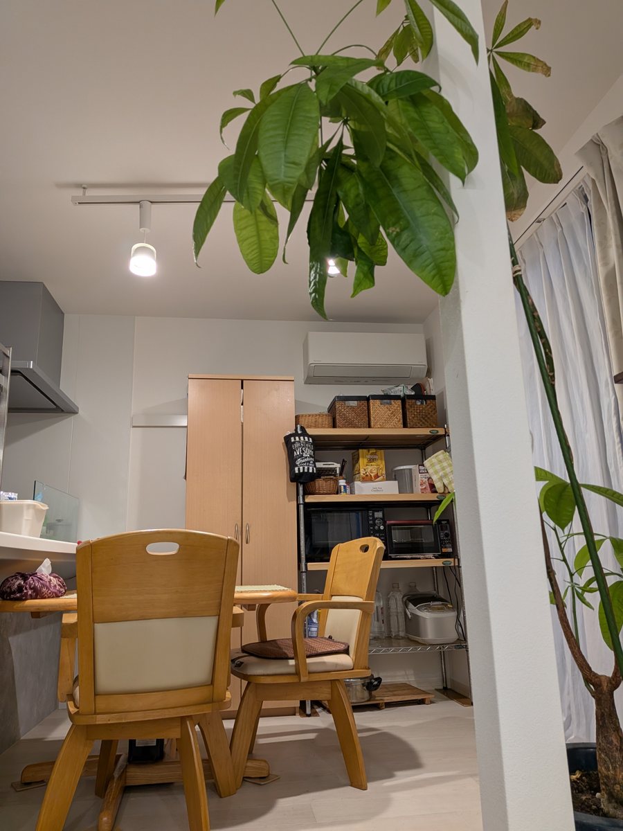 調査回答者の部屋。電子レンジ・トースター・炊飯器などがラックに並んでいる